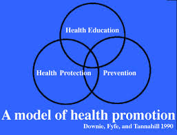 What Is the Health Promotion Model?