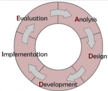 Phases of Curriculum Development 