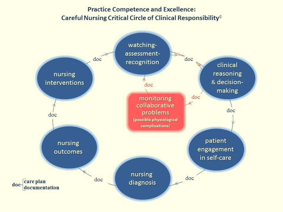 Concept of Excellence as it Relates to Nursing Education