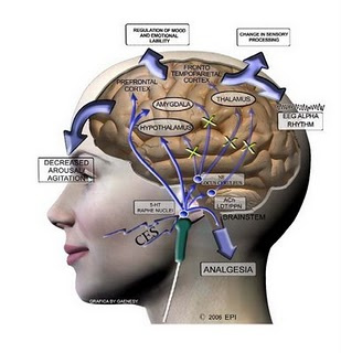 Edmonton Neurotherapy: Brain Stimulation Therapies