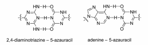 Hydrogen bonds formed by 5-azauracil in aqueous media (Source: Diez-Martinez, Kim, & Krishnamurthy, 2015)