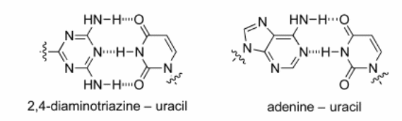 Hydrogen bonds formed by Uracil in aqueous media (Source: Diez-Martinez, Kim, & Krishnamurthy, 2015)