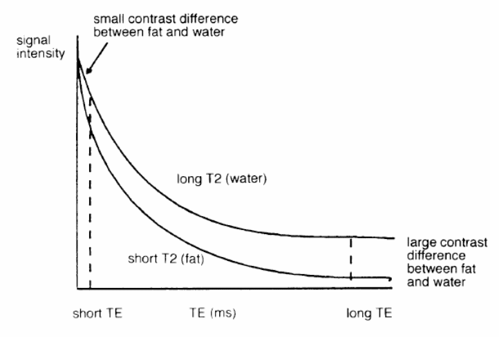 transverse decay curve (T2). Maximum contrast is achieved by using long TE