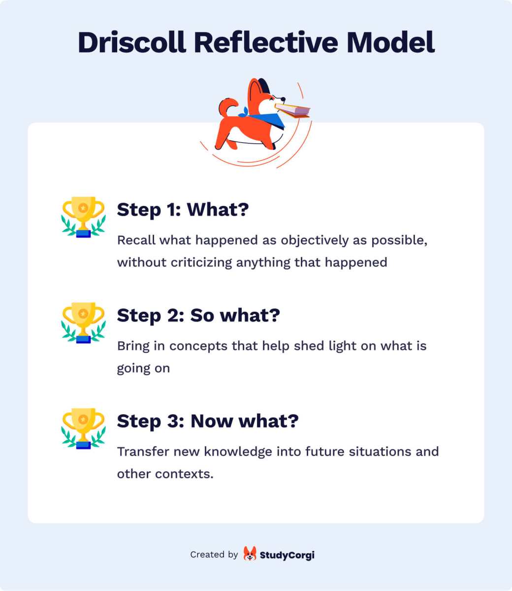 Driscoll reflective model.