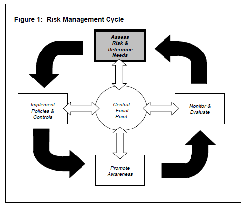 Basic Elements of Risk Assessment Process