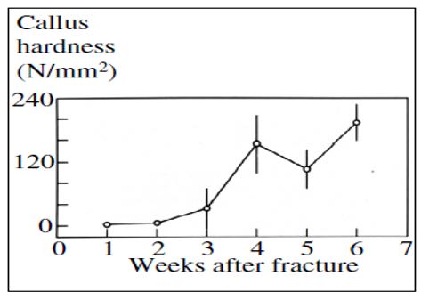 Graph of fracture healing process