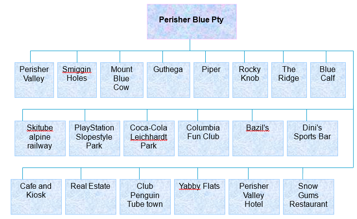 Organizational Structure of Perisher Blue Pty.