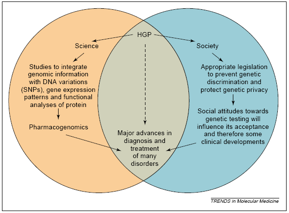 Shows the implication of having the HGP on science and society: Williams and Hayward