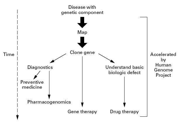 Shows HGP effect on disease treatment Collins