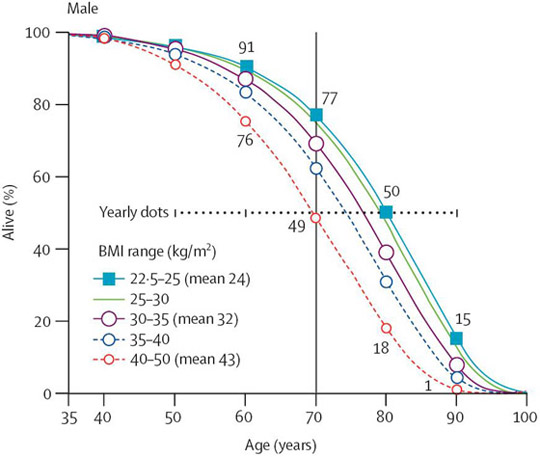 Effects of obesity on survival from age 35 years in males