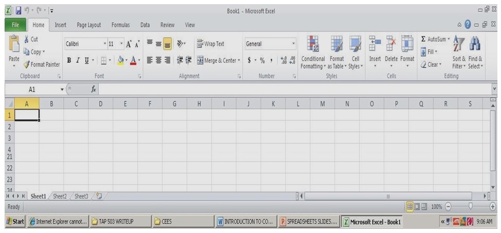 MS Excel window showing a workbook with a number of worksheets that can be used to enter patient data