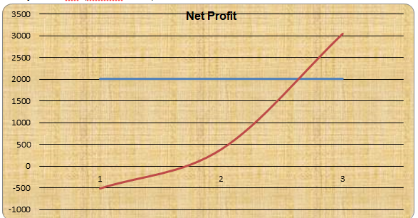 Net profit