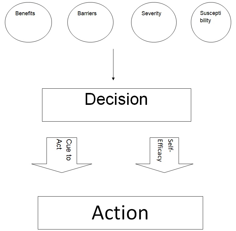Application of Health Belief Model to the Chosen Action