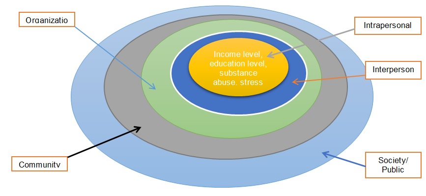 Socio-Economic Model (SEM)