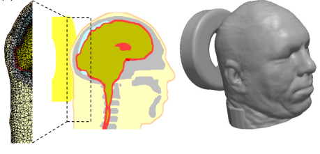 Mid-sagital Cross-section of the Head Model (Katzengold & Gefen, 2019)