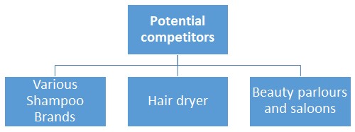 Potential Competitors of E-Shampooer