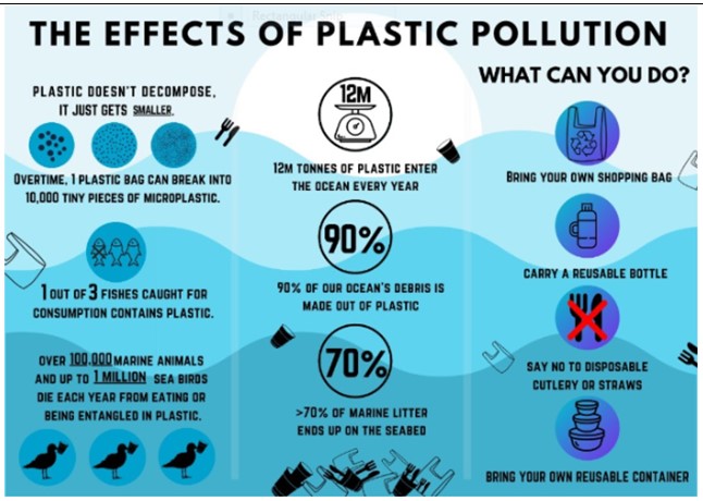 Posters Counteracting Plastic Usage and Littering | Free Essay Example