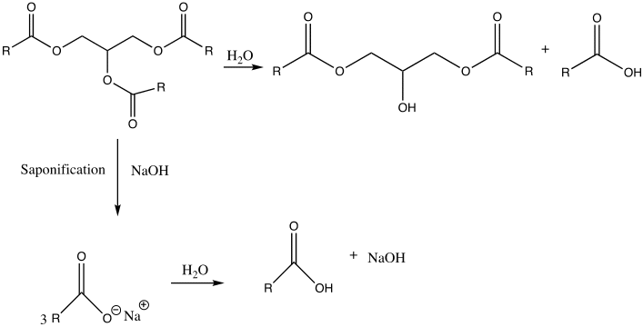 Potential side reaction that can occur during the synthesis of soap