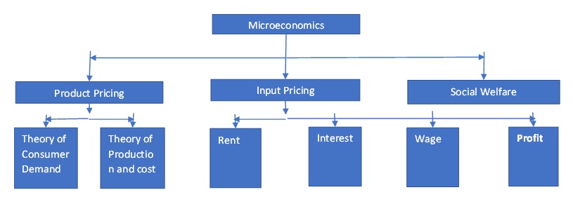 Some Microeconomic Components 