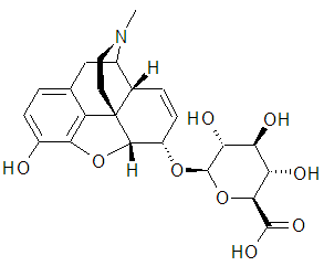 Morphine-3-Glucuronide Morphine-6-Glucuronide