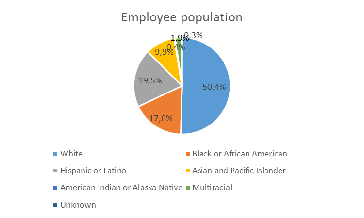 Employee population by ethnicity. 