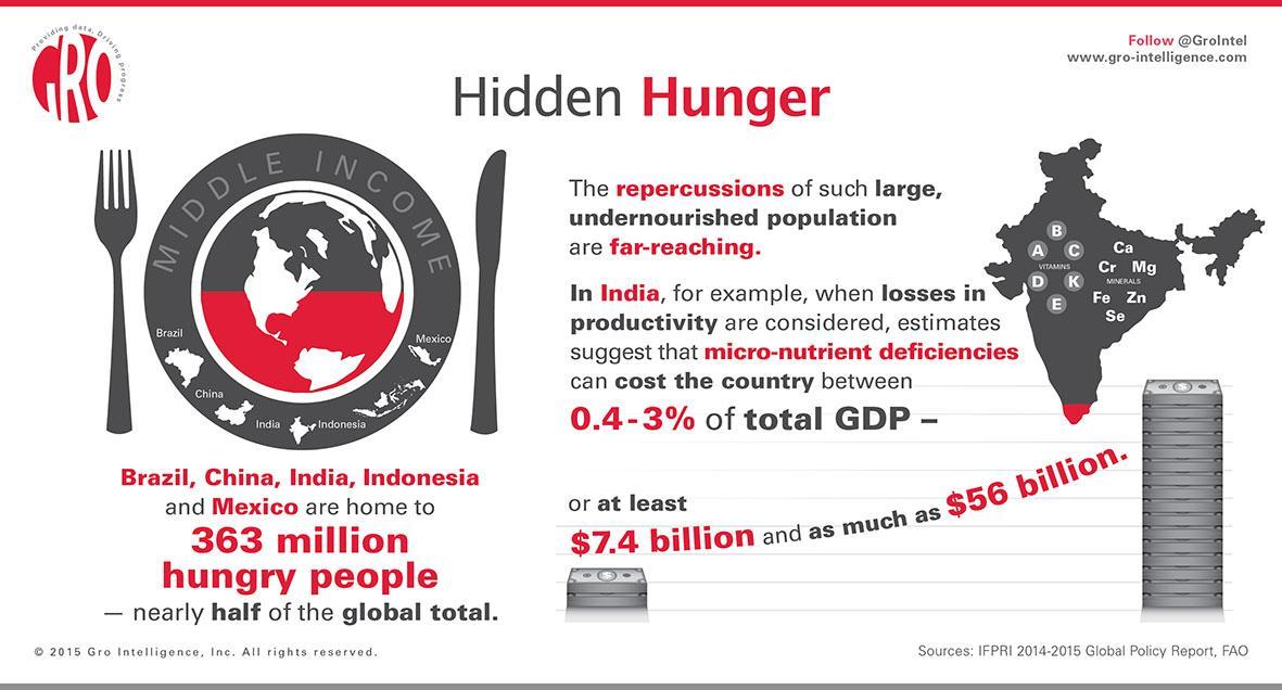Malnutrition Around the World 
