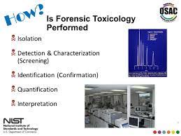 Performing Forensic Toxicology