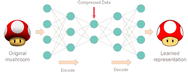 How autoencoders compress and decompress data
