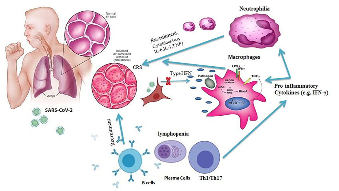 Pathogen penetration through the hemolytic barrier