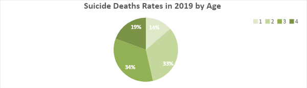Suicide Death Rates in 2019 by age