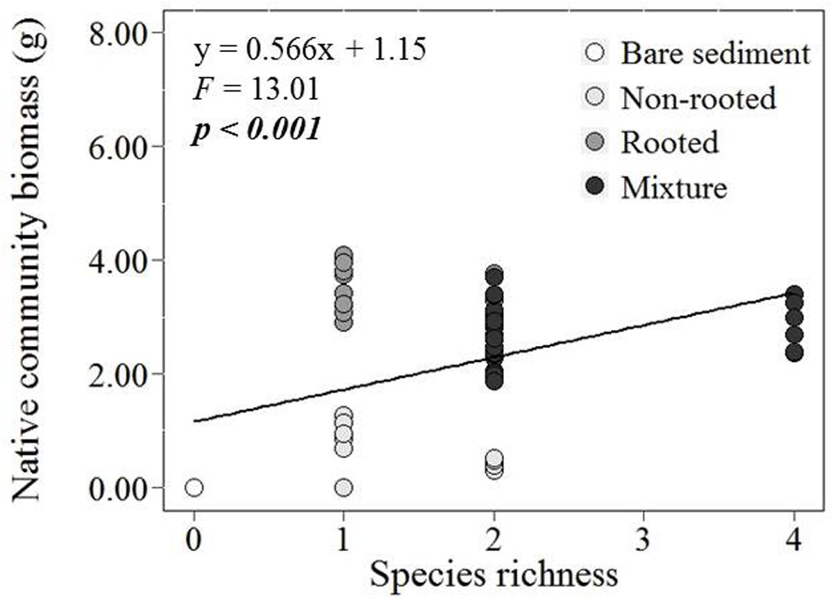 The Correlation Between the Native Community Biomass (g) and the Species Richness.