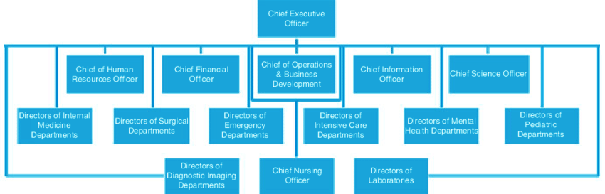  Functional Organizational Structure