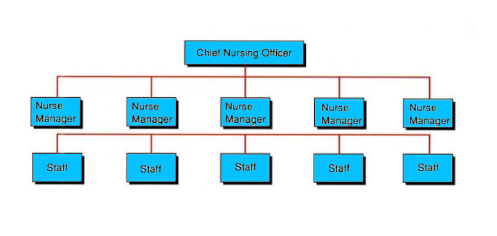  Flat Organizational Structure