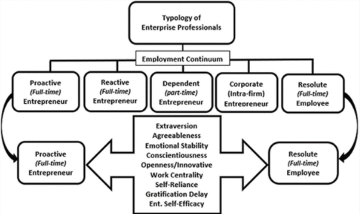 Typology of enterprise professionals and impact of proactive position
