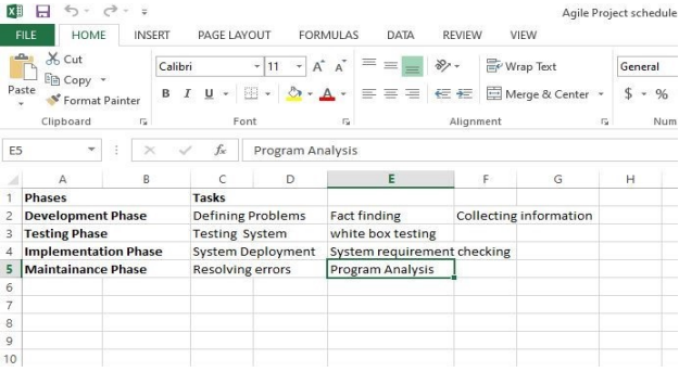 MS Excel Project Schedule