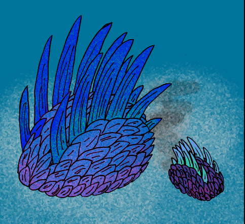 Reconstruction of the Appearance of Wiwaxia Corrugata
