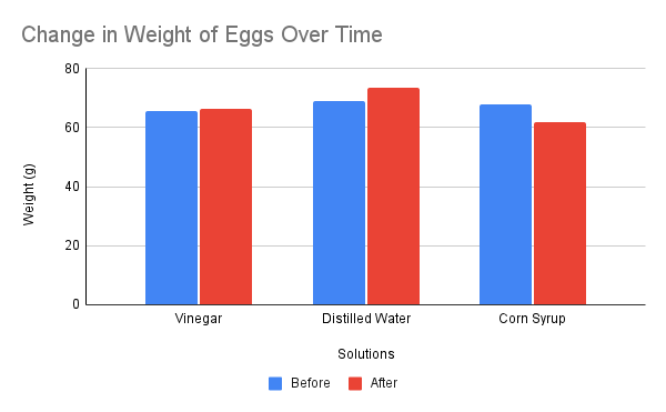 Scientific Report Draft on Osmosis Egg Experiment