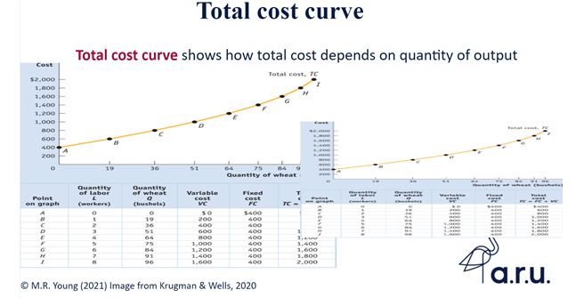 Total cost curve