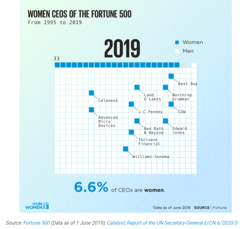 Visualizing the data: Women's representation in society