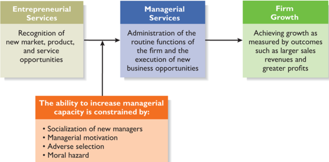 The Impact of Managerial Capacity