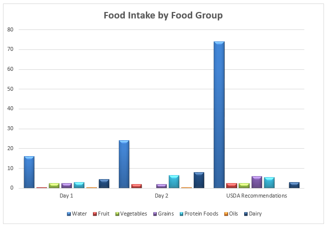 Food Intake by Food Group