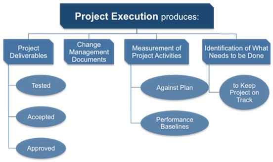 Project execution