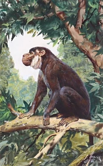 Artistic Photo of the Aegyptopithecus.