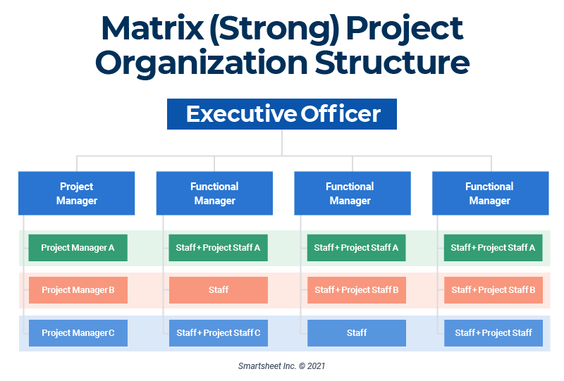 Strong functional organization structure