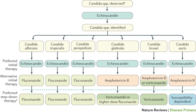 Treatment of invasive Candidiasis 