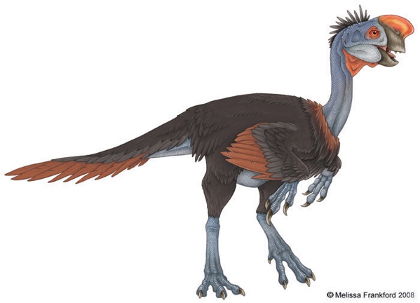 Oviraptor