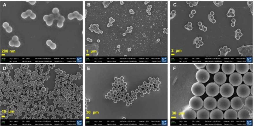 Micrographs of microplastic particles of different sizes