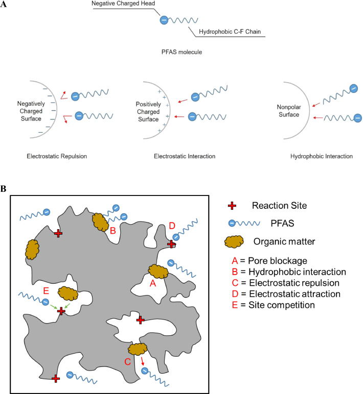Mechanism of sorption of organic pollutants on the surface of microplastic