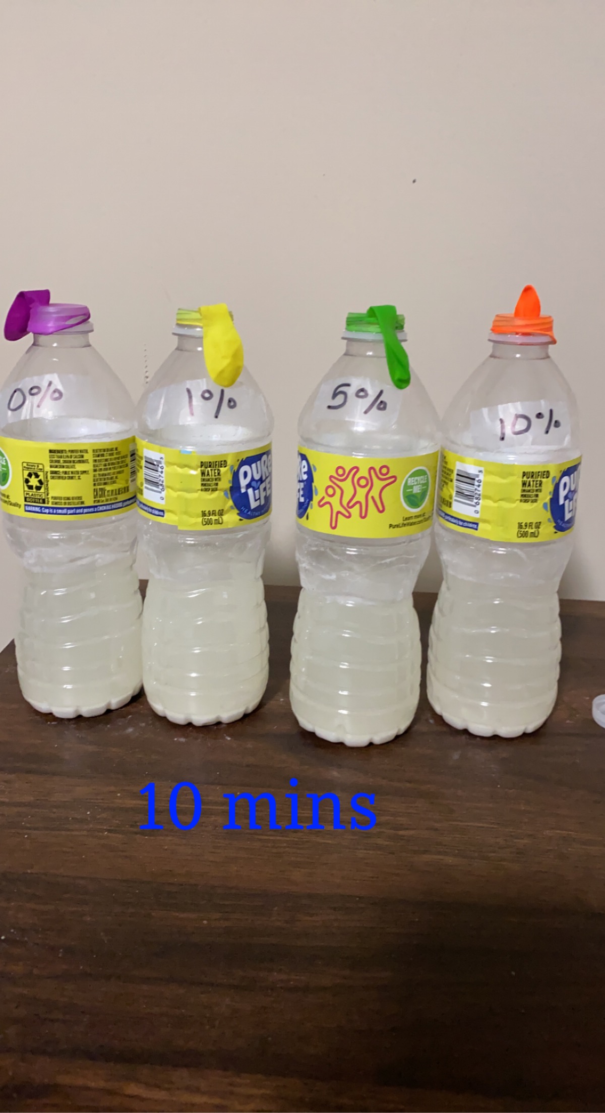 Picture of the experiment: Four Bottles with Different Sugar Concentrations