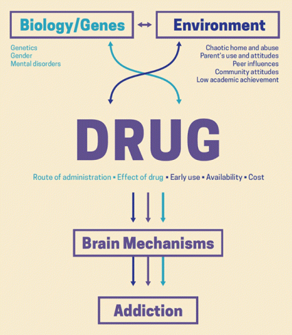 Factors Affecting Drug Addiction